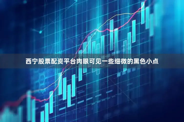 西宁股票配资平台肉眼可见一些细微的黑色小点