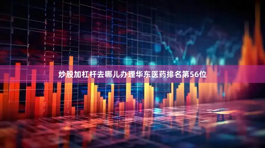炒股加杠杆去哪儿办理华东医药排名第56位