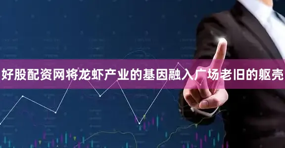 好股配资网将龙虾产业的基因融入广场老旧的躯壳