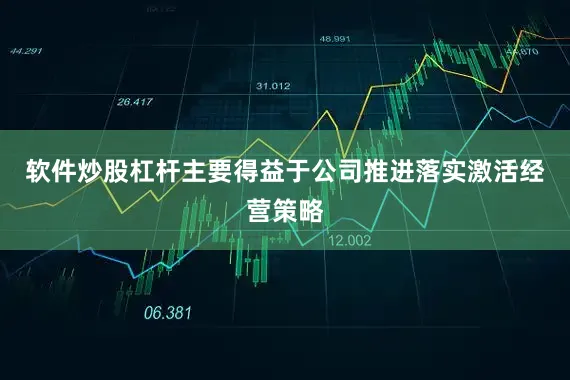 软件炒股杠杆主要得益于公司推进落实激活经营策略
