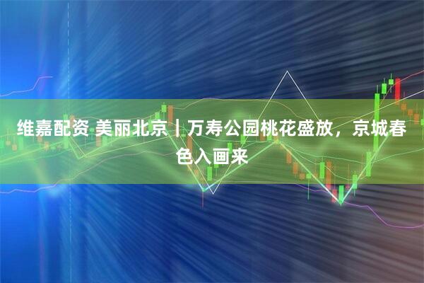 维嘉配资 美丽北京｜万寿公园桃花盛放，京城春色入画来